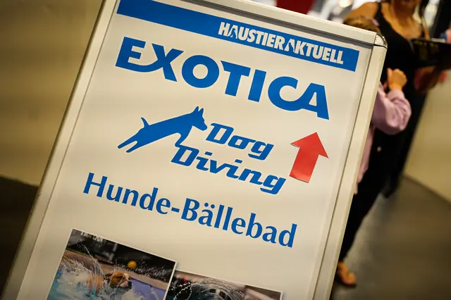 Foto: Veranstalter