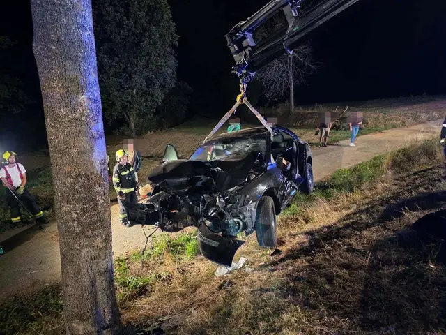 Fahrzeugbergung durch die Feuerwehr Zwettl | Foto: FF Zwettl