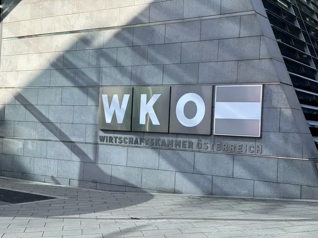 Die Wirtschaftskammer Österreich (WKO) warnt vor deutlichen Konsequenzen, wenn Österreich einen Sonderweg beim Klimagesetz einschlägt. (Symbolfoto) | Foto: Sade Jerabek/MeinBezirk