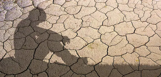 Menschgemachter Klimawandel | Foto: shutterstock