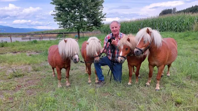 Franz Waldauer und seine Miniponys.