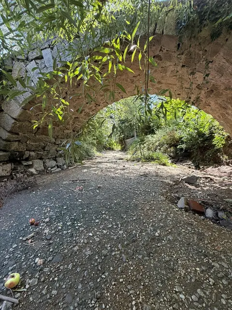 Der Pesenbach bei der Pichlerbrücke in der Ortschaft Pesenbach am 31. August 2026. | Foto: David Allerstorfer
