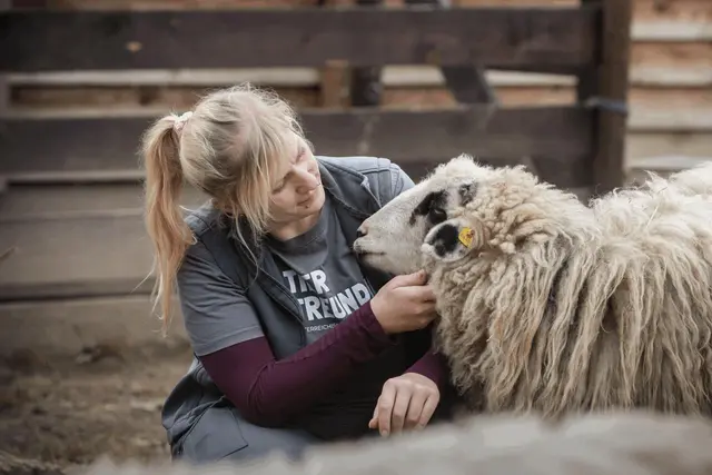„Unsere Tiere haben oft eine Leidensgeschichte hinter sich“ — Assisi-Hof-Leiterin Stephanie Lang bittet um Unterstützung für die Versorgung. | Foto: Österreichischer Tierschutzverein