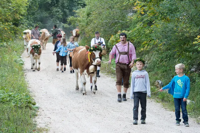 Am 26. September 2026 findet zum 13. Mal der Almabtrieb der Weidegenossenschaft Molln statt.  | Foto: Weidegenossenschaft Molln/T-Man