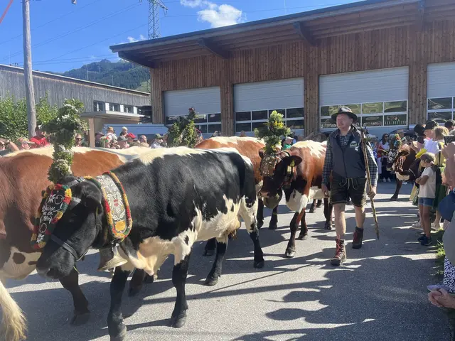 Auch im Vorjahr, 2025 lockte der Almabtrieb in der Region Bruck-Fusch zahlreiche Besucher an. | Foto: Voithofer