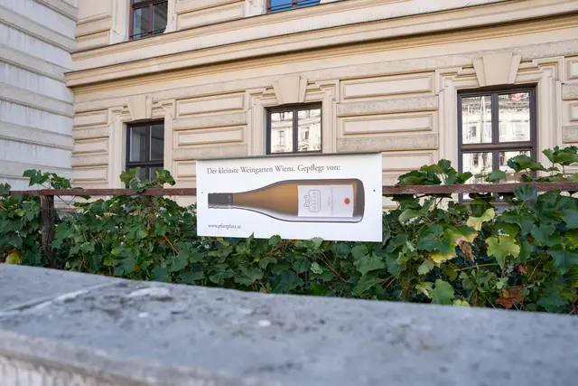 Foto: Kaja Sade Jerabek/MeinBezirk