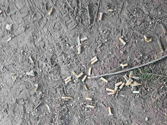 Lokalaugenschein auf einem Spielplatz in Horn: Hier liegen eindeutig zu viele Zigarettenreste. | Foto: Markus Kahrer
