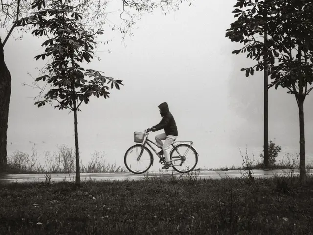Außerhalb des üblichen Verleihgebiets unterwegs: In Traisen wurde ein gestohlenes Leihfahrrad entdeckt. | Foto: Pexels (Symbolbild)