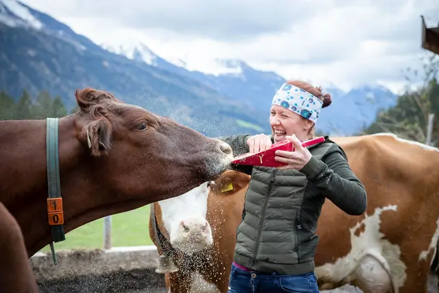 Am Welttag der Kuh darf man den Tieren schon mal näher kommen. Das Bild zeigt die Bio-Bäuerin Theresia Innerhofer aus Hollersbach in Salzburg und eine ihrer Pinzgauer-Kühe aus dem Jahr 2024.  | Foto: Archivfoto: Jürgen Pistracher
