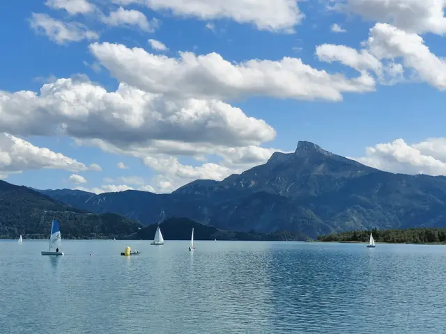 Schafberg | Foto: H.Bachinger