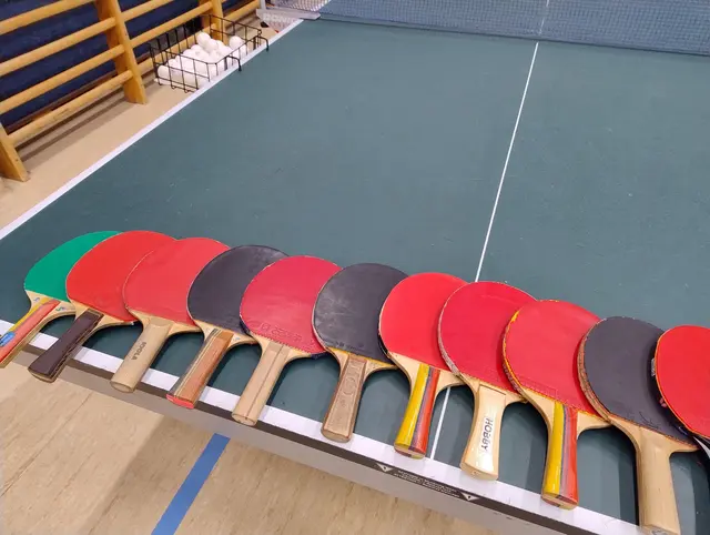 Die Sektion Tischtennis der Union Horn geht heuer mit sechs Mannschaften an den Start.