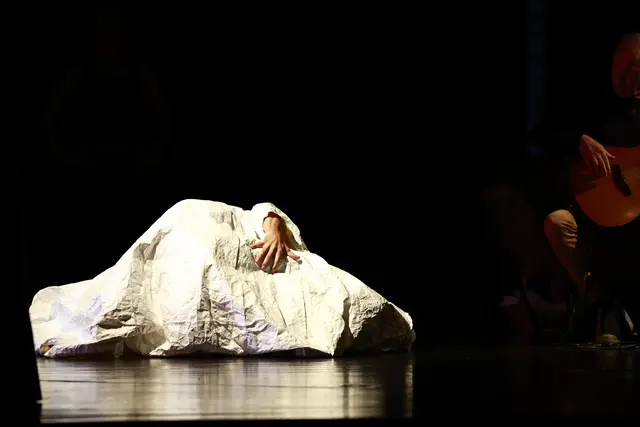 Foto: Josef Reiter/OÖ Literaturfestival/Tanzland