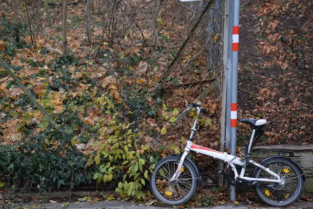 Ein Leihfahrrad aus St. Pölten tauchte wenige Tage nach seinem Diebstahl in Traisen auf. | Foto: Pexels (Symbolbild)