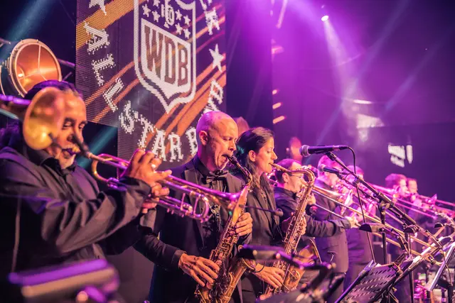 Die Woodstock Allstar Band.