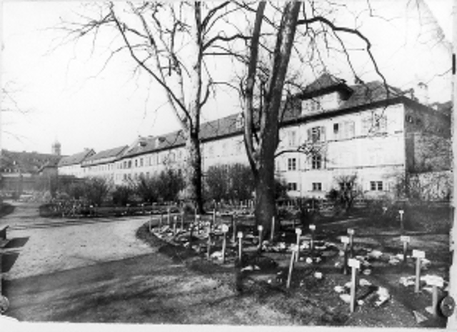 Einst lag der botanische Garten von Graz mitten in der Innenstadt. Eine Ausstellung sowie eine Diskussionsrunde in der Steiermärkischen Landesbibliothek spürt diesem verlorenen Grün nach. | Foto: MMS/UMJ