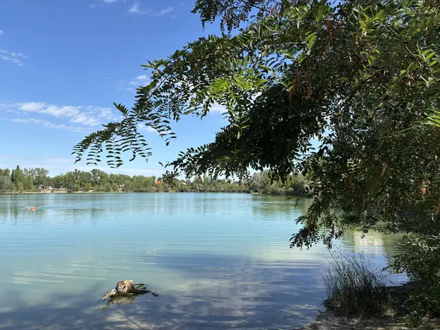 Beim Badeteich Hirschstetten ist die Wasserqualität aktuell "mangelhaft". | Foto: Michael Marbacher/MeinBezirk