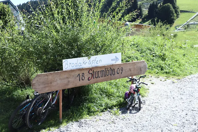 ORF Sommerfrische in der Wildschönau.  | Foto: Martina Obertimpfler 