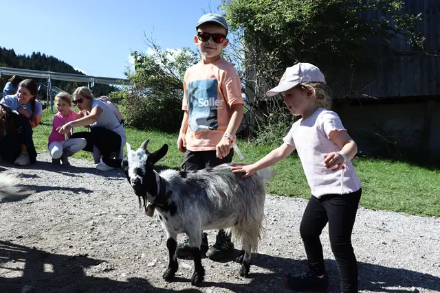 Ziegen zum Anfassen, Füttern und Streicheln.  | Foto: Martina Obertimpfler 