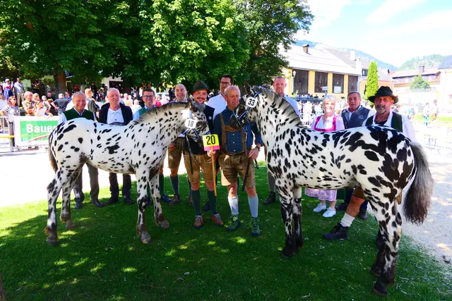 Die Ehrengäste zeigten sich beeindruckt von der Stimmung und den Ergebnissen beim Rösslmarkt 2026 in Mauterndorf, bei dem diese beiden Tigerfohlen aus der Zucht der Familie Obernhumer die Tageshöchstpreise erzielen konnten. | Foto: Franz Lanschützer