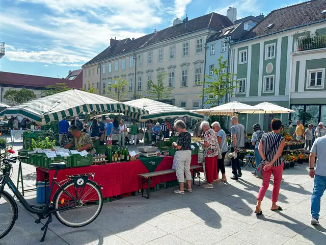 Besuch am Domplatz. | Foto: Marktgemeinde Wiener Neudorf
