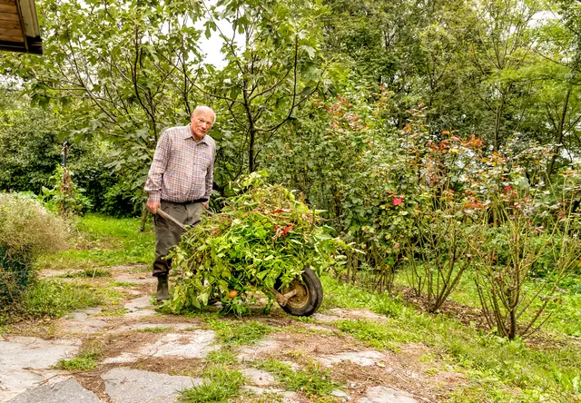 Wer anderen hilft – zum Beispiel bei der Gartenarbeit oder bei kleineren Reparaturen – sammelt dafür Stunden und kann diese später für eigene Unterstützung einlösen.  | Foto: Smarterpix/elesi (Symbolfoto)