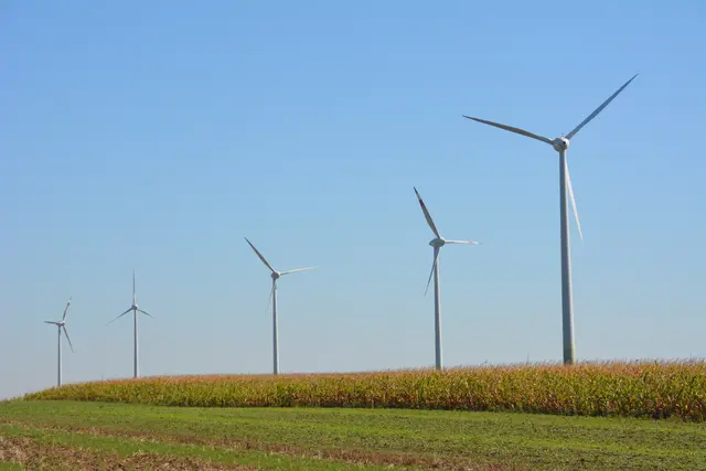 Windräder wie diese im Bezirk Neusiedl werden bald auch die Landschaft rund um Horitschon und Nikitsch prägen. Insgesamt 23 Windräder sollen in den zwei geplanten Windparks errichtet werden. | Foto: MeinBezirk Burgenland/Franz Gölles