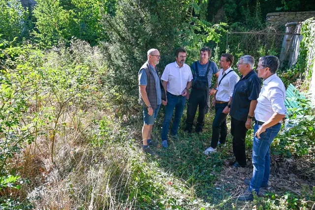Bei einer Besichtigung machten sich Bürgermeister Gerhard Lentschig, Vizebürgermeister Heinrich Nagl, Stadtrat Reinhard Litschauer, Stadtamtsdirektor Matthias Pithan, Gärtner Ludwig Band und Wirtschaftshof-Vorarbeiter Gerhard Bock ein Bild von der aktuellen Situation. | Foto: Langstadlinger / Stadtgemeinde Horn