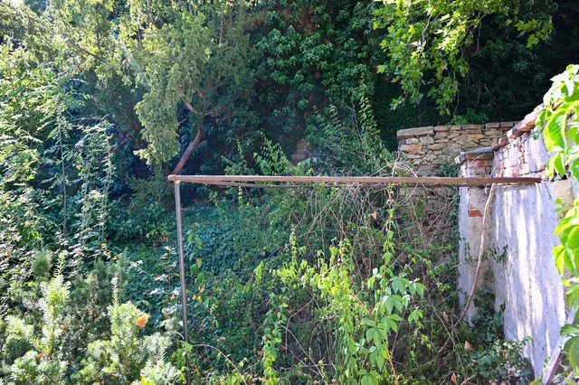 Horn wertet verwilderten Garten an der Stadtmauer zum neuen Erholungsort auf. | Foto: Langstadlinger / Stadtgemeinde Horn