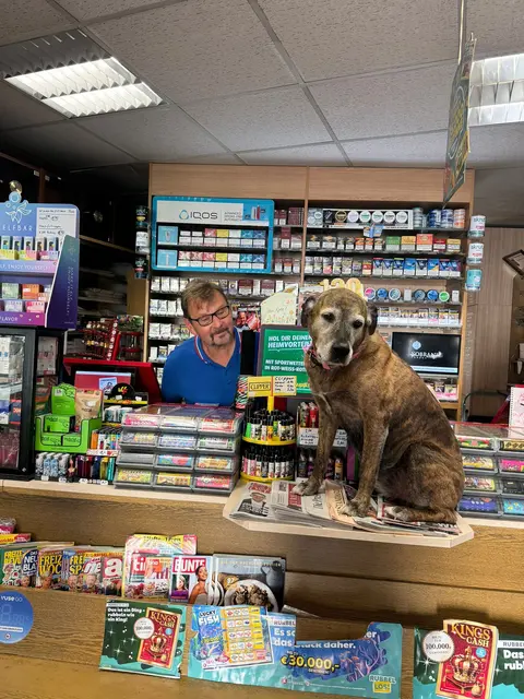 Der Alltag kann manchmal stressig sein. Wenn es den Hunden zu viel wird, gibt es aber genug Platz um sich zurückzuziehen. | Foto: Z.V.g.