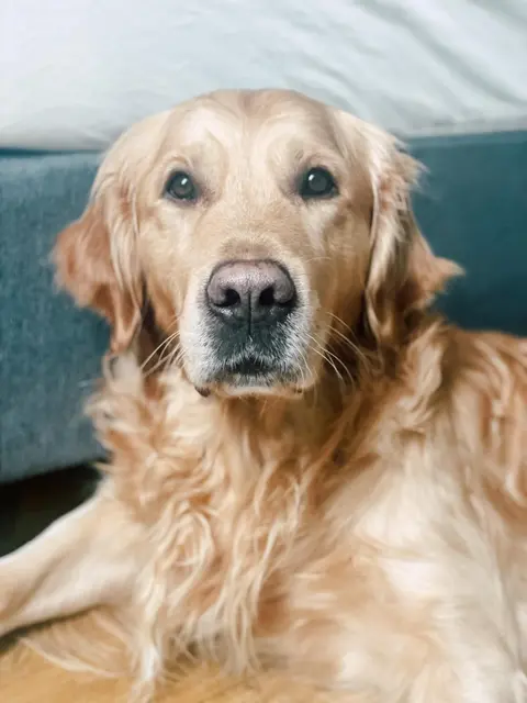 Quincy ist die Vorlage für Inspektor Quincy. | Foto: privat