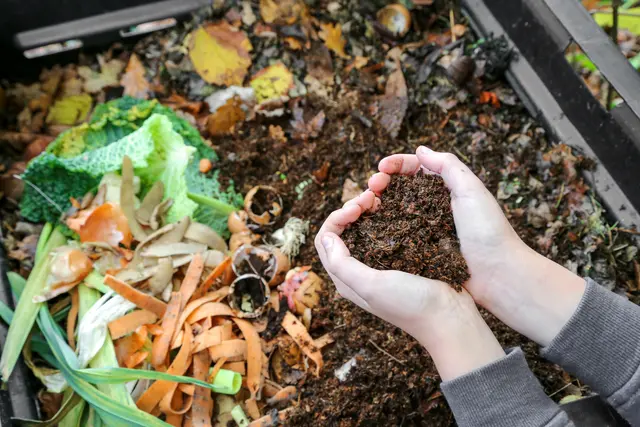 Kompost ist wertvoll für den Garten.  | Foto: Jérôme Rommé.stock.adobe.com