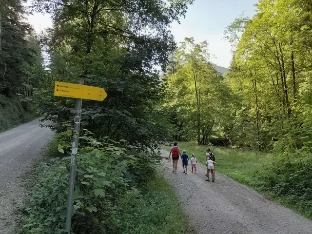 Foto: H.Bachinger