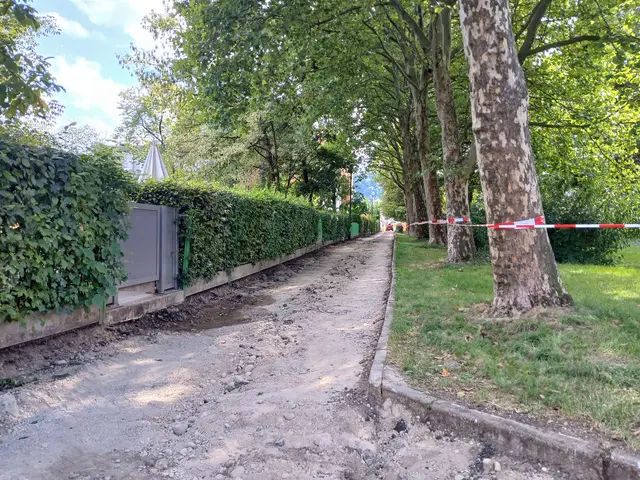 Die Sanierungsarbeiten am Geh- und Radweg in der Siedlerstraße laufen. | Foto: Stadt Salzburg