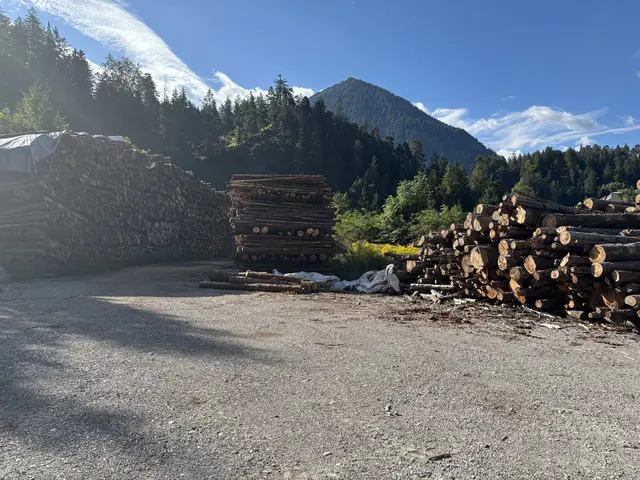 Im Hirschengärtle lagert Holz unterschiedlicher Besitzer.