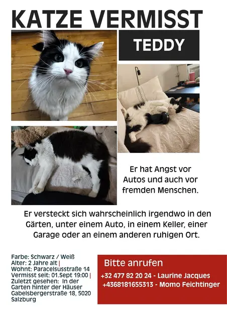 Zuletzt wurde er am Abend des 1. Septembers gesehen. | Foto: Jacques/Feichtinger
