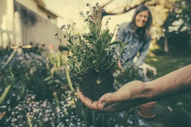 Gemeinsam ins Gespräch kommen bei der Gartenarbeit. | Foto: Benjamin Combs/Unsplash