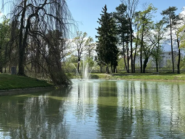 Auch der Volksgarten wurde bei Live in Salzburg bespielt | Foto: Lisa Gold