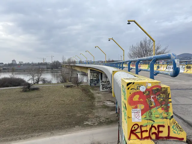 Ein Umweg über die Floridsdorfer Brücke dauert laut der Radlobby fast die doppelte Zeit. Am Bild: der Steinitzsteg. | Foto: Michael Marbacher/ MeinBezirk