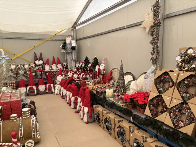 Am Vorum ist die Weihnachtszeit schon ausgebrochen. | Foto: MeinBezirk/Harald Almer