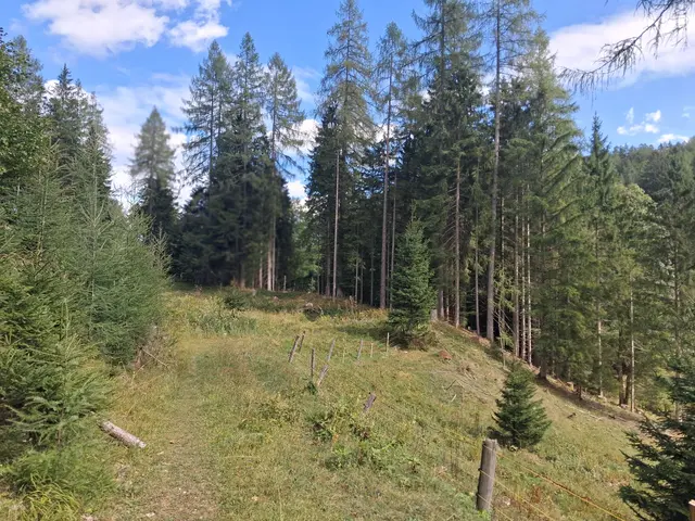 ...einfach schön durch die herrliche Natur zu wandern.