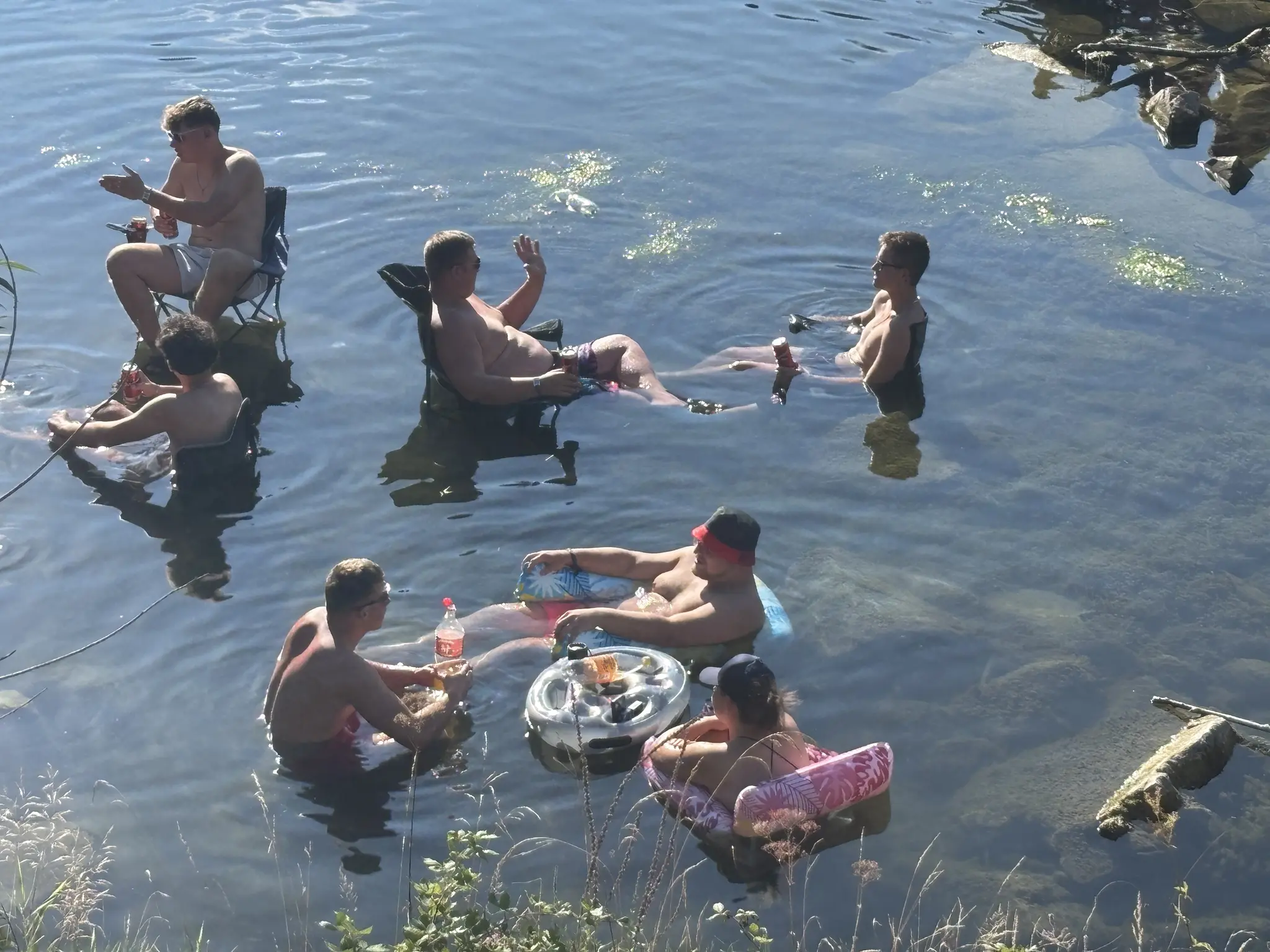 After the Frequency Festival: cercariae on the skin of visitors - | St ...