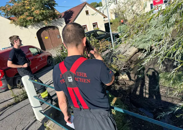 Nach dem Notruf einer aufmerksamen Bürgerin rückte die Feuerwehr Traiskirchen-Stadt zu einer ungewöhnlichen Tierrettung aus. | Foto: BFKDO BADEN / Stefan Schneider