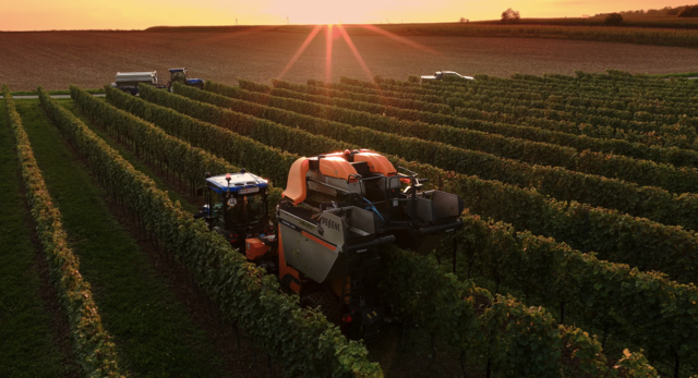 Das Weingut bietet unter anderem eine "Live Weinlese" im Weingarten mit kostenlosem Shuttle-Service an. | Foto: Weingut Migsich