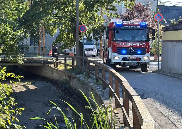Dank des raschen Einsatzes von Feuerwehr und Fischereiverband konnten zahlreiche Fische aus dem ausgetrockneten Mühlbach gerettet werden. | Foto: BFKDO BADEN / Stefan Schneider