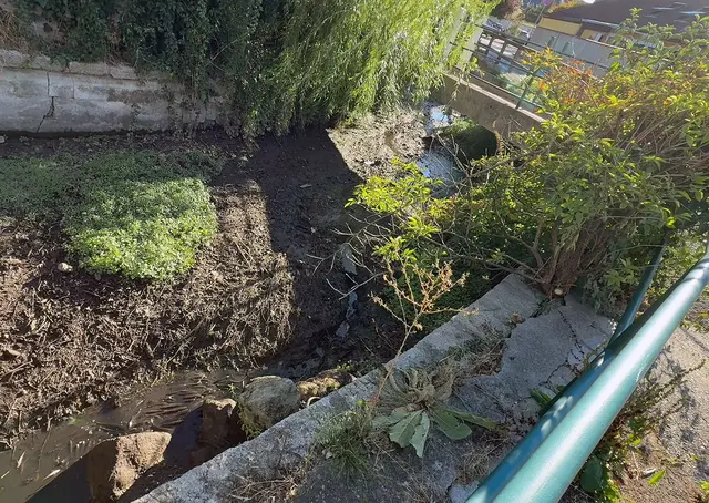 Die extreme Trockenheit ließ den Mühlbach stellenweise fast vollständig austrocknen und brachte zahlreiche Fische in Lebensgefahr. | Foto: BFKDO BADEN / Stefan Schneider
