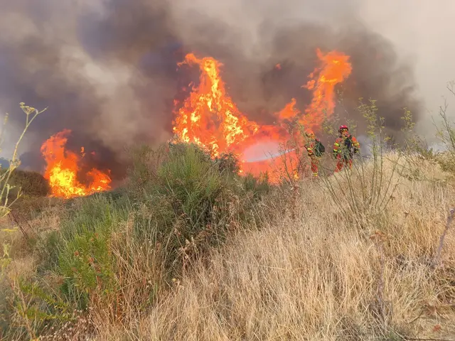 Die Mannschaft war während des Aufenthalts beinahe täglich bei Einsätzen gefordert und sammelte dabei wertvolle Erfahrungen im internationalen Waldbrandschutz. | Foto: Kerstin Longin