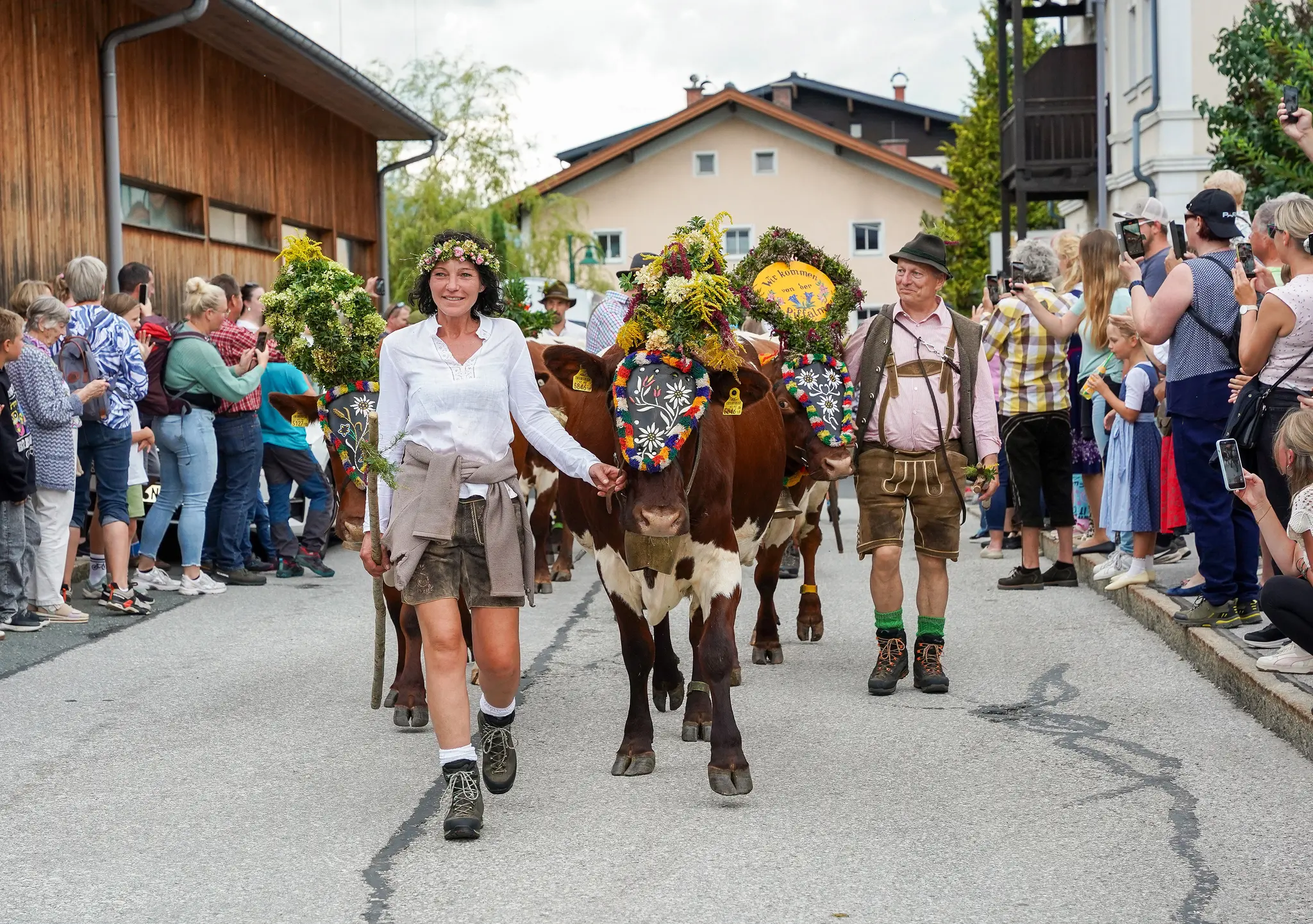 Cattle Drive Festival: Returned to Home Barn After Summer on the Piffalm - ...