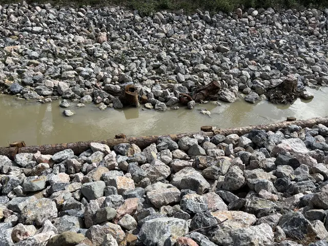 Kritisiert werden vor allem fehlende Wasserzugänge. | Foto: Marlene Graupner/MeinBezirk