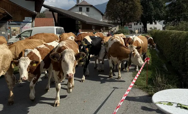 Foto: Dorfgemeinschaft Rattendorf