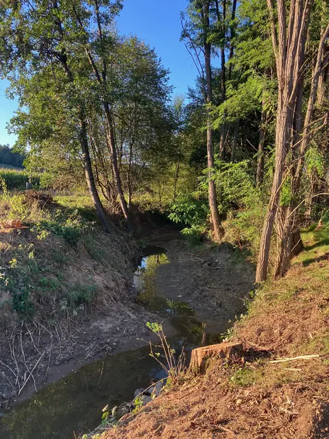 In St. Stefan im Rosental entsteht beim Saßbach gerade ein Lebens- und Erholungsraum.